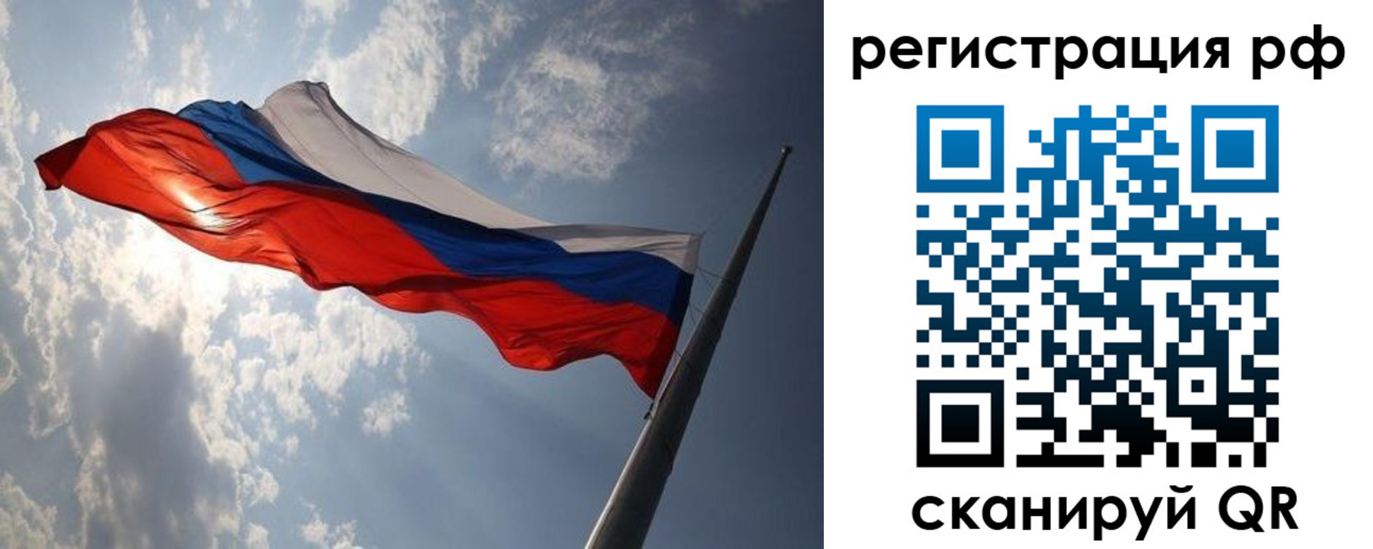 прописка поиск в Светлогорске